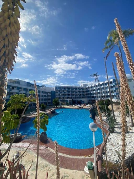 Apartamento Golf Del Sur 圣克鲁斯-德特内里费 外观 照片